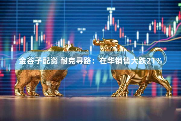金谷子配资 耐克寻路：在华销售大跌21%