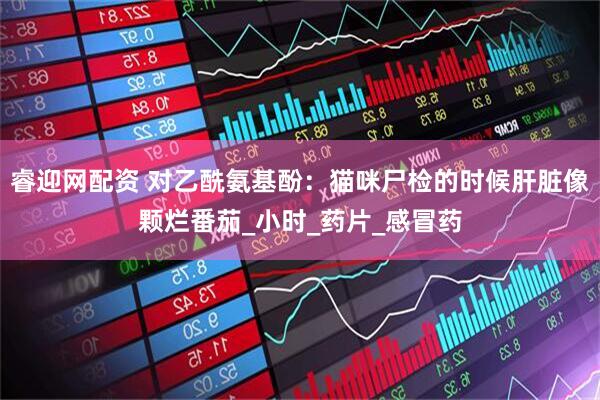 睿迎网配资 对乙酰氨基酚：猫咪尸检的时候肝脏像颗烂番茄_小时_药片_感冒药