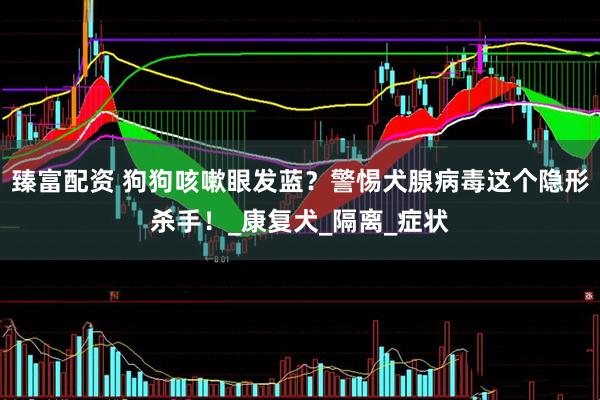 臻富配资 狗狗咳嗽眼发蓝？警惕犬腺病毒这个隐形杀手！_康复犬_隔离_症状